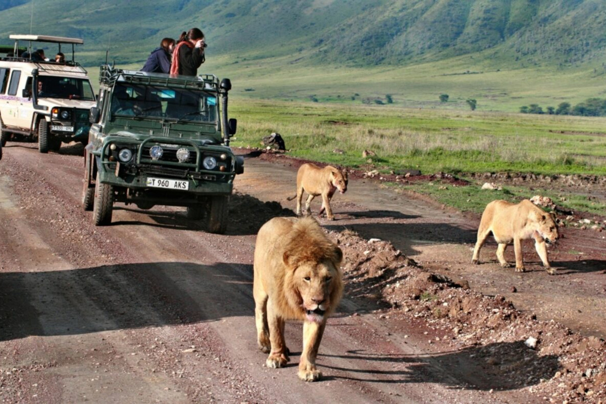 Tanzania during January